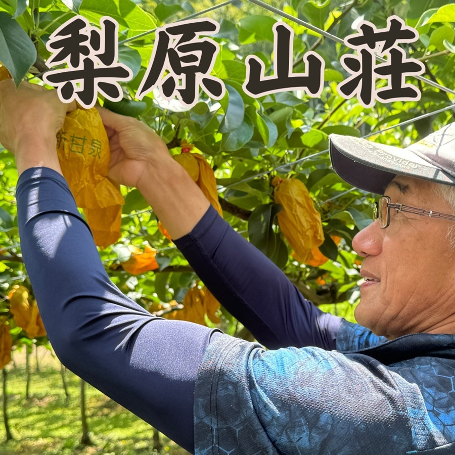 特選 新甘泉5kg【梨原山荘】 ｜鳥取の特産品お取り寄せ通販｜とっとり