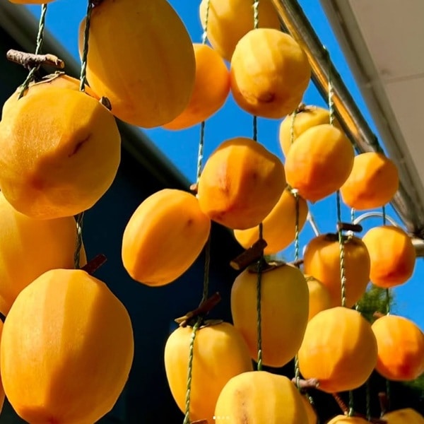 ぽけっとふぁーむ