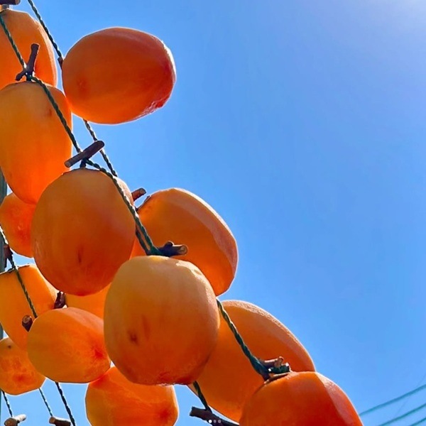 ぽけっとふぁーむ