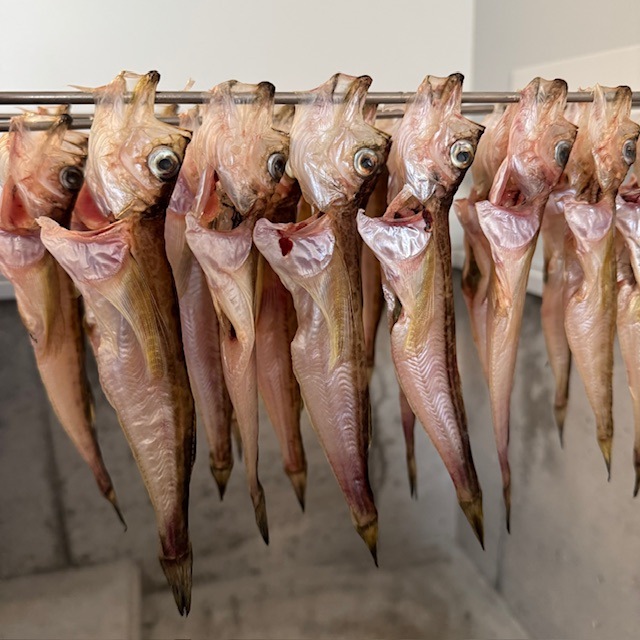 さかなや新鮮組