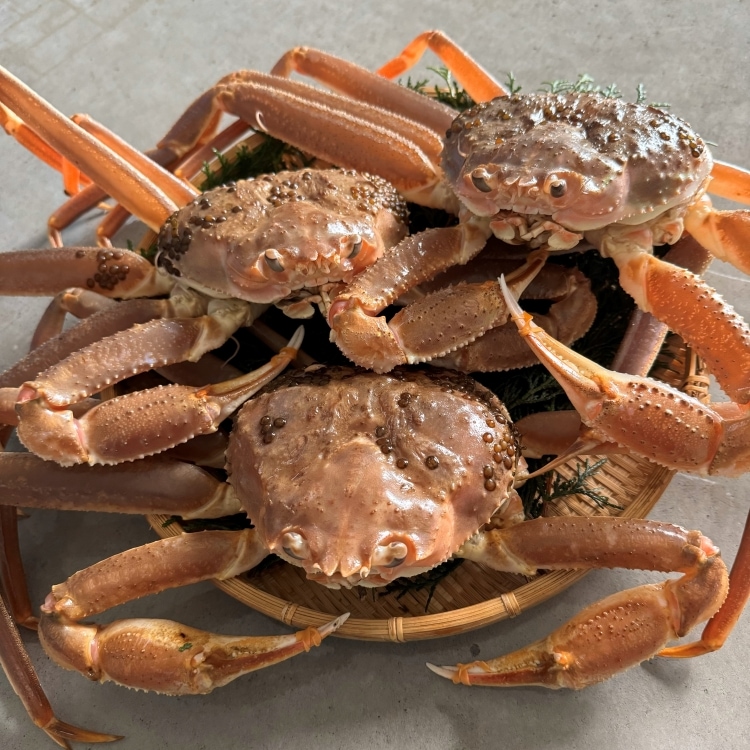 さかなや新鮮組