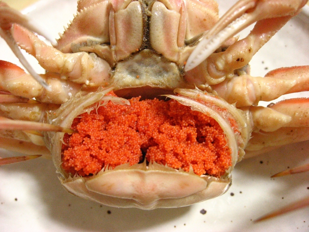 限定特価！◇訳あり◇絶品セコガニたっぷり1kgセット 【さかなや新鮮組