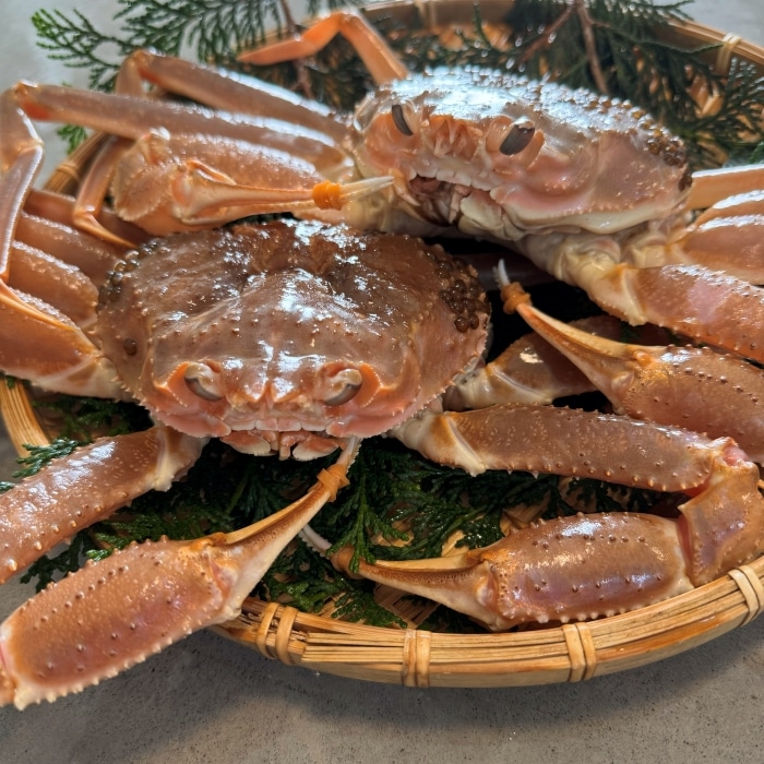 さかなや新鮮組