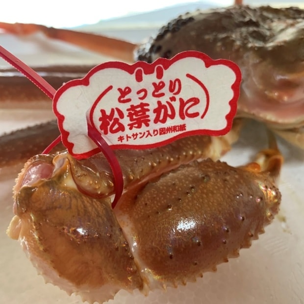 ご贈答用におすすめ最高級松葉ガニ≪ブランドタグ付≫【大】800g以上