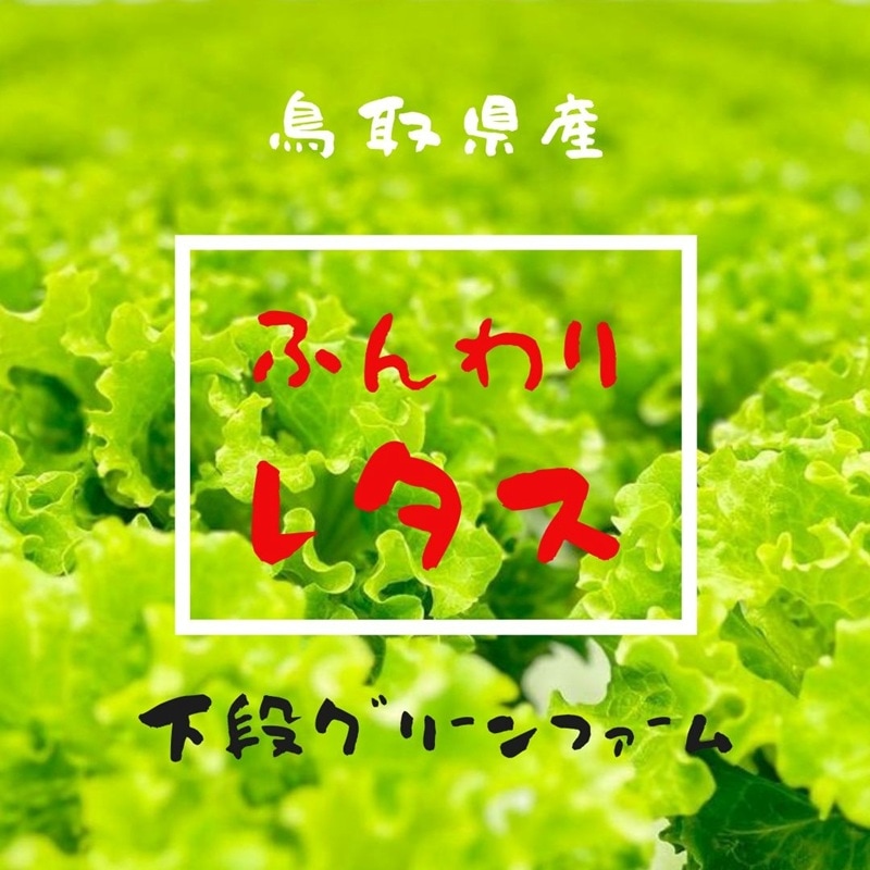 下段グリーンファーム