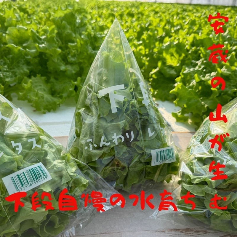 下段グリーンファーム