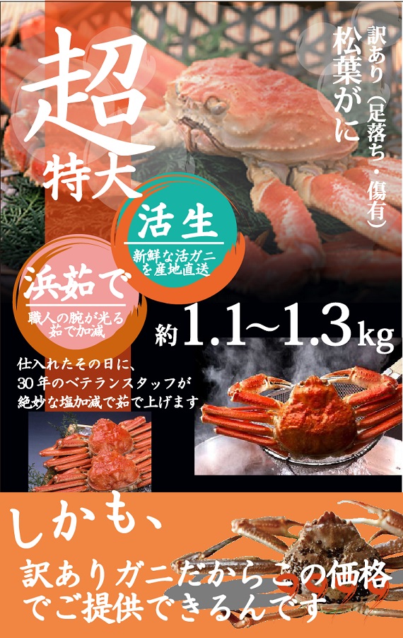 訳あり☆ お得な松葉ガニ（ 超特大サイズ 1.1kg - 1.3kg）【生／茹で