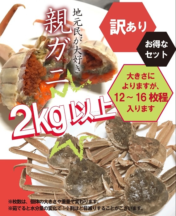 11/6カニ漁解禁】訳あり・親ガニ（セコガニ）2kg詰合せ【生／茹で