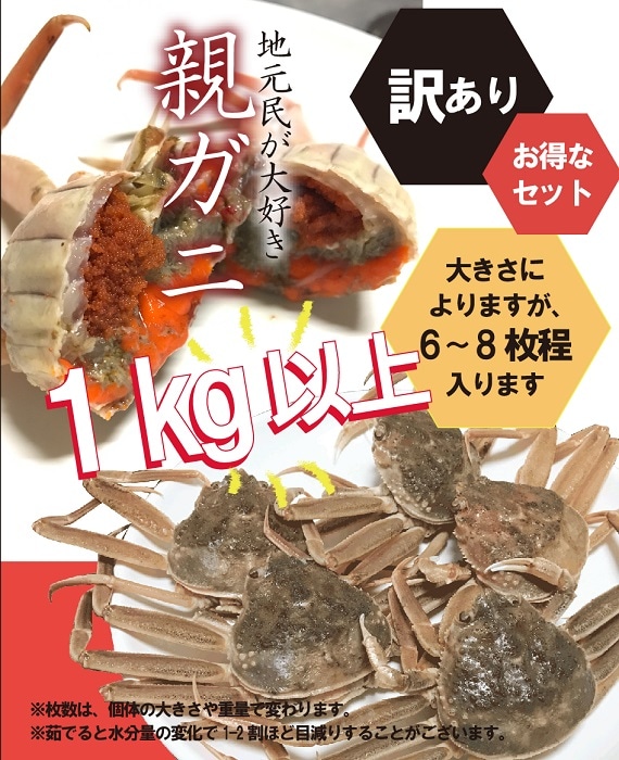 11/6カニ漁解禁】訳あり・親ガニ（セコガニ）1kg詰合せ【生／茹で