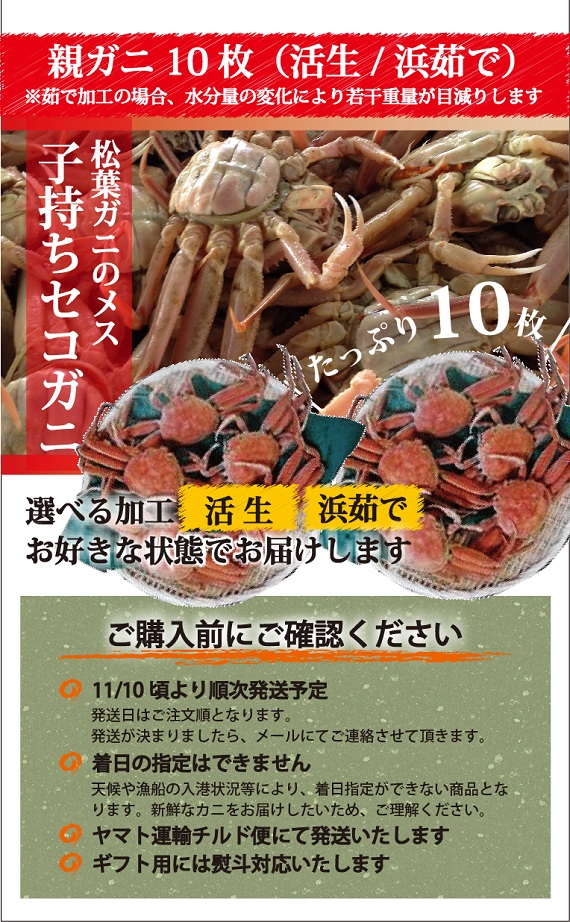 松葉ガニ漁解禁！ 親ガニ（セコガニ）10枚セット【活生／茹で】【山根