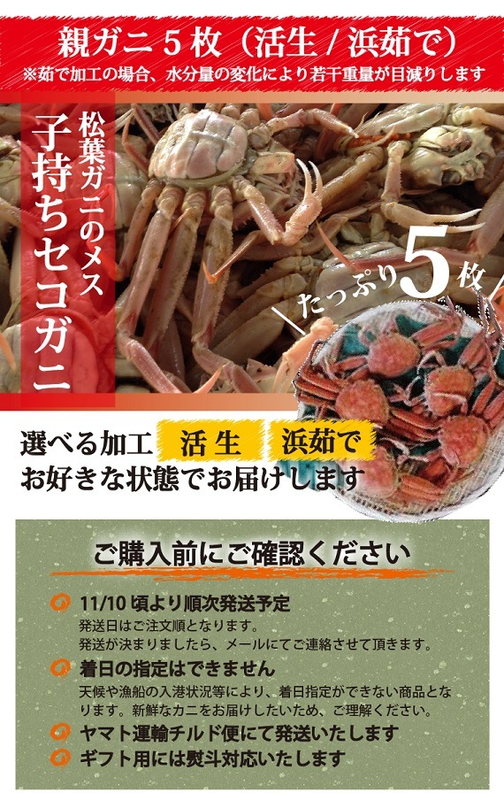 松葉ガニ漁解禁！ 親ガニ（セコガニ） 5枚セット【活生／茹で】【山根