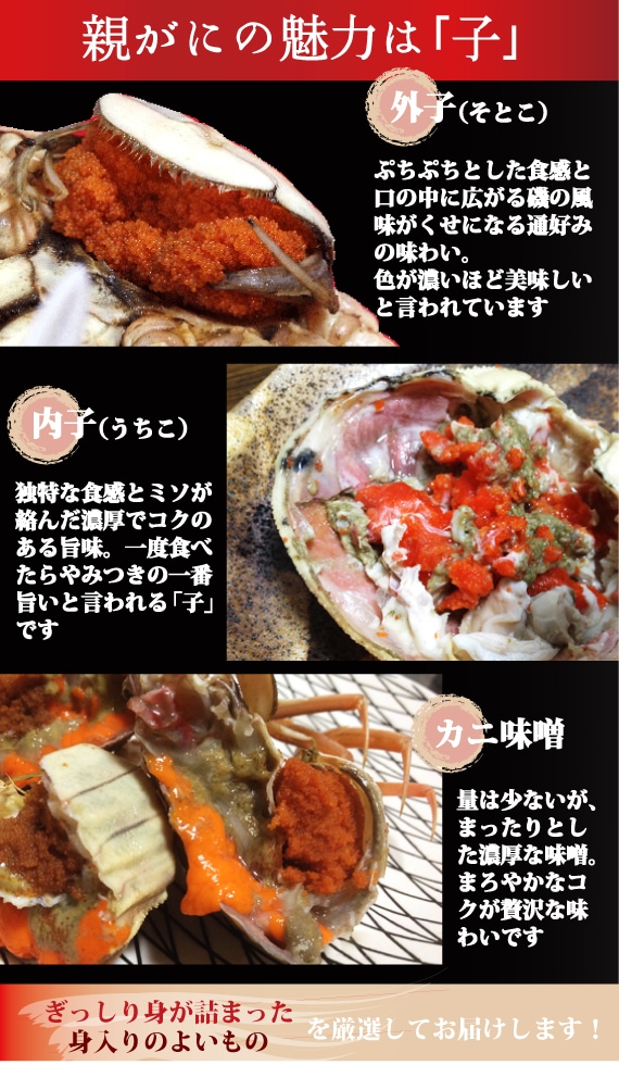 11/6カニ漁解禁】訳あり・親ガニ（セコガニ）1kg詰合せ【生／茹で