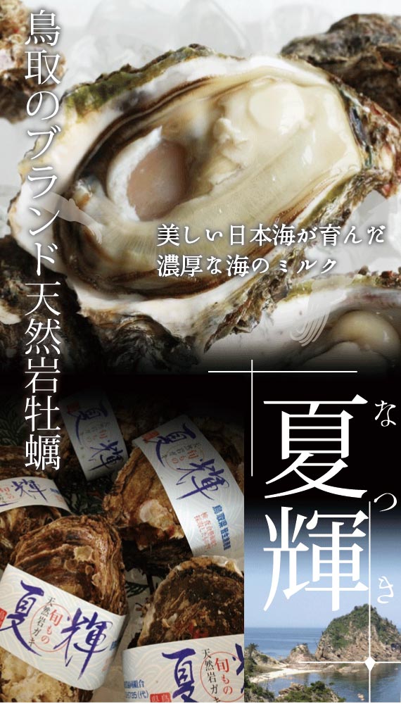 極上ブランド「夏輝」】帯付 2個 【漁師が素潜りで獲った天然岩牡蠣