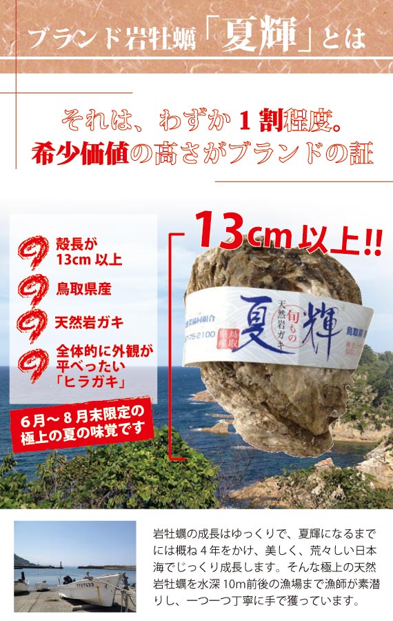 山根商店