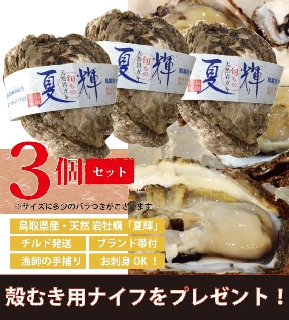 山根商店