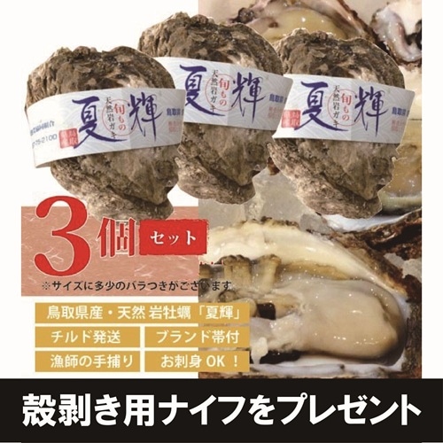 山根商店