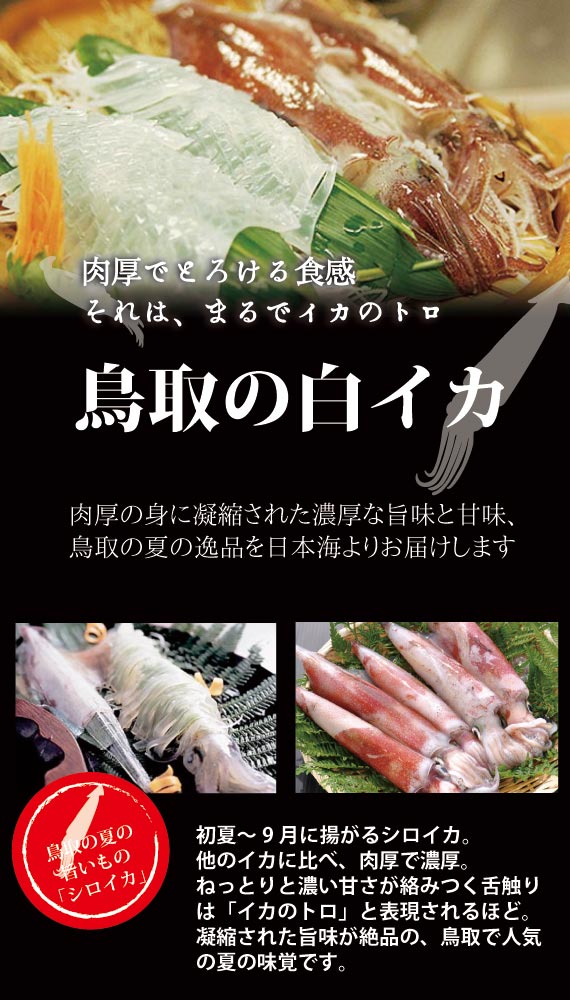 山根商店