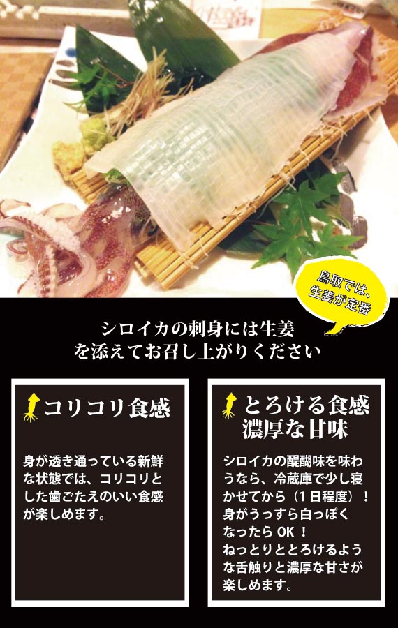 山根商店