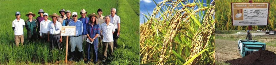 八頭米ブランド化推進協会