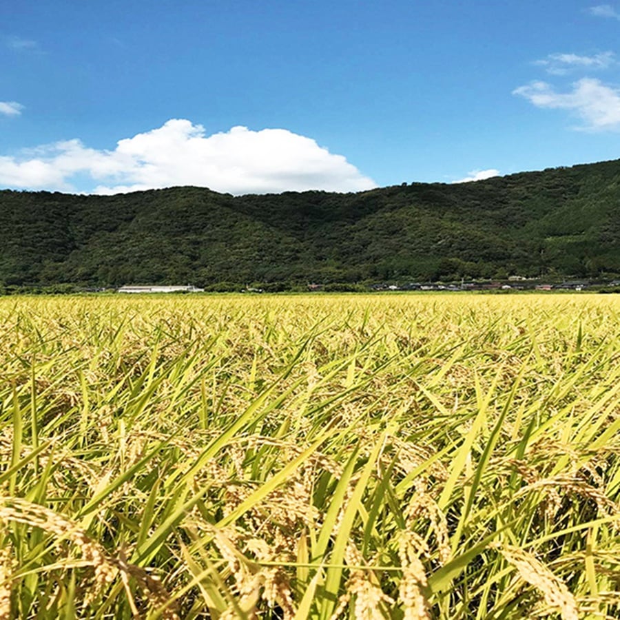 八頭米ブランド化推進協会