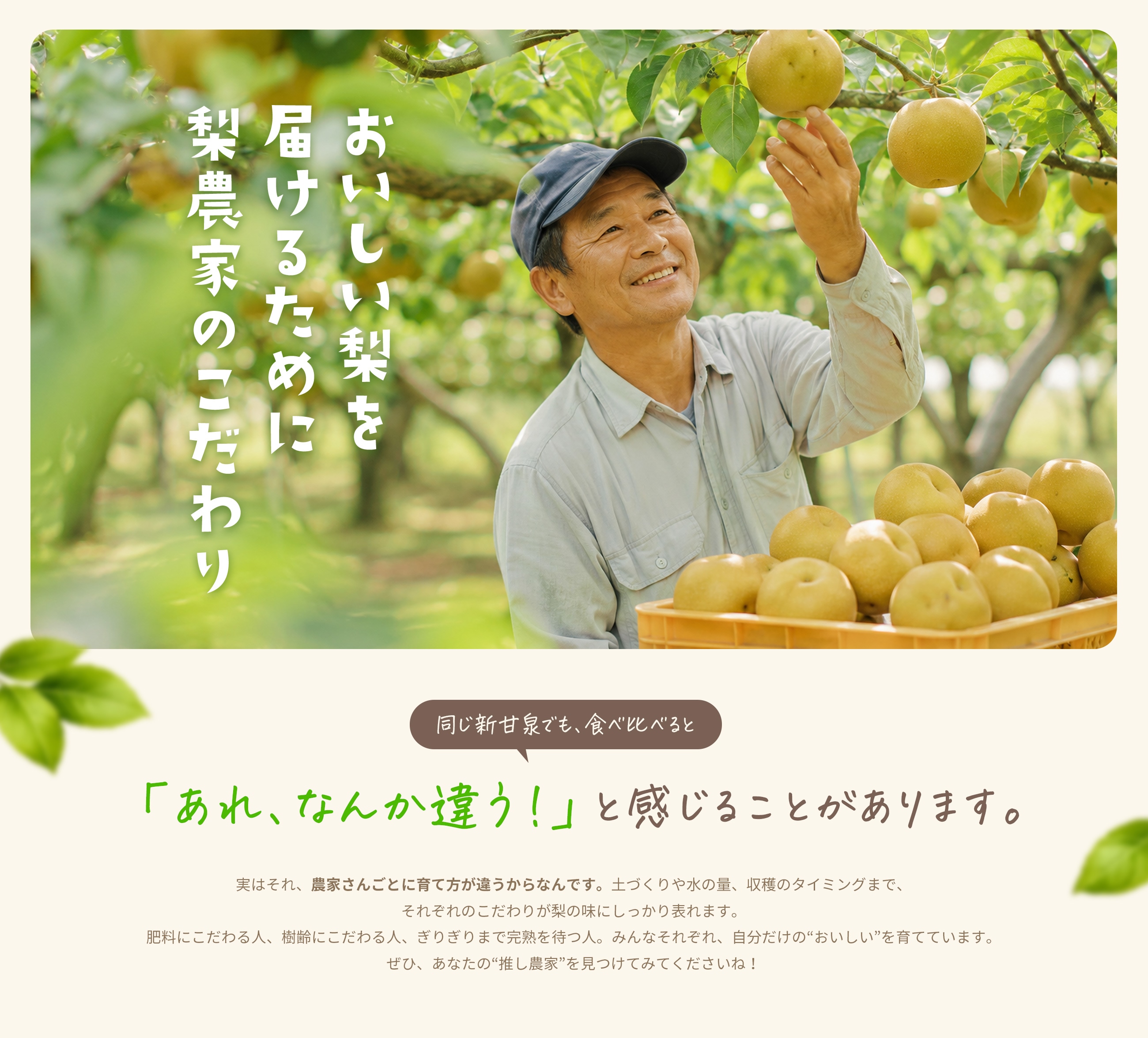 梨農家