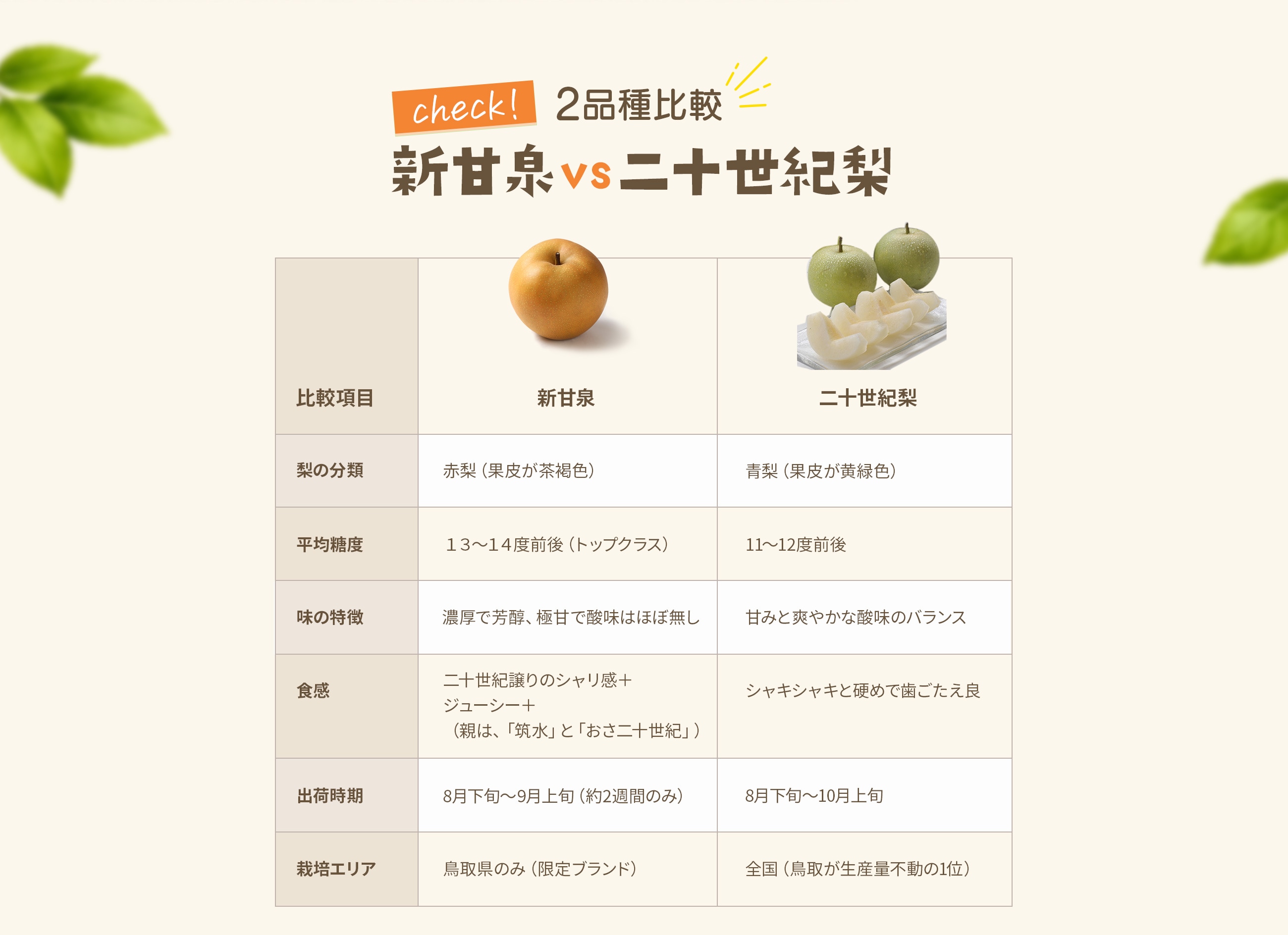 新甘泉・二十世紀梨 比較テーブル
