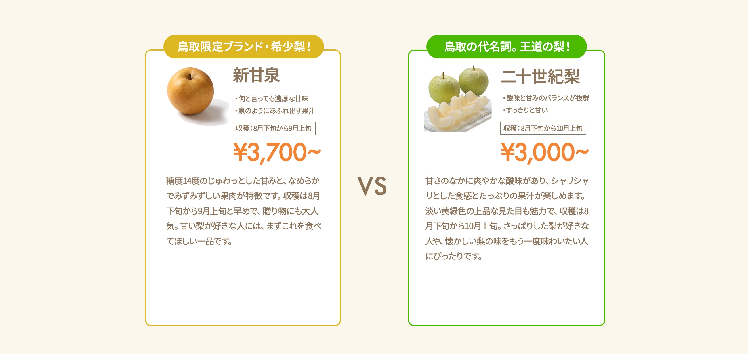 新甘泉・二十世紀梨 品種比較