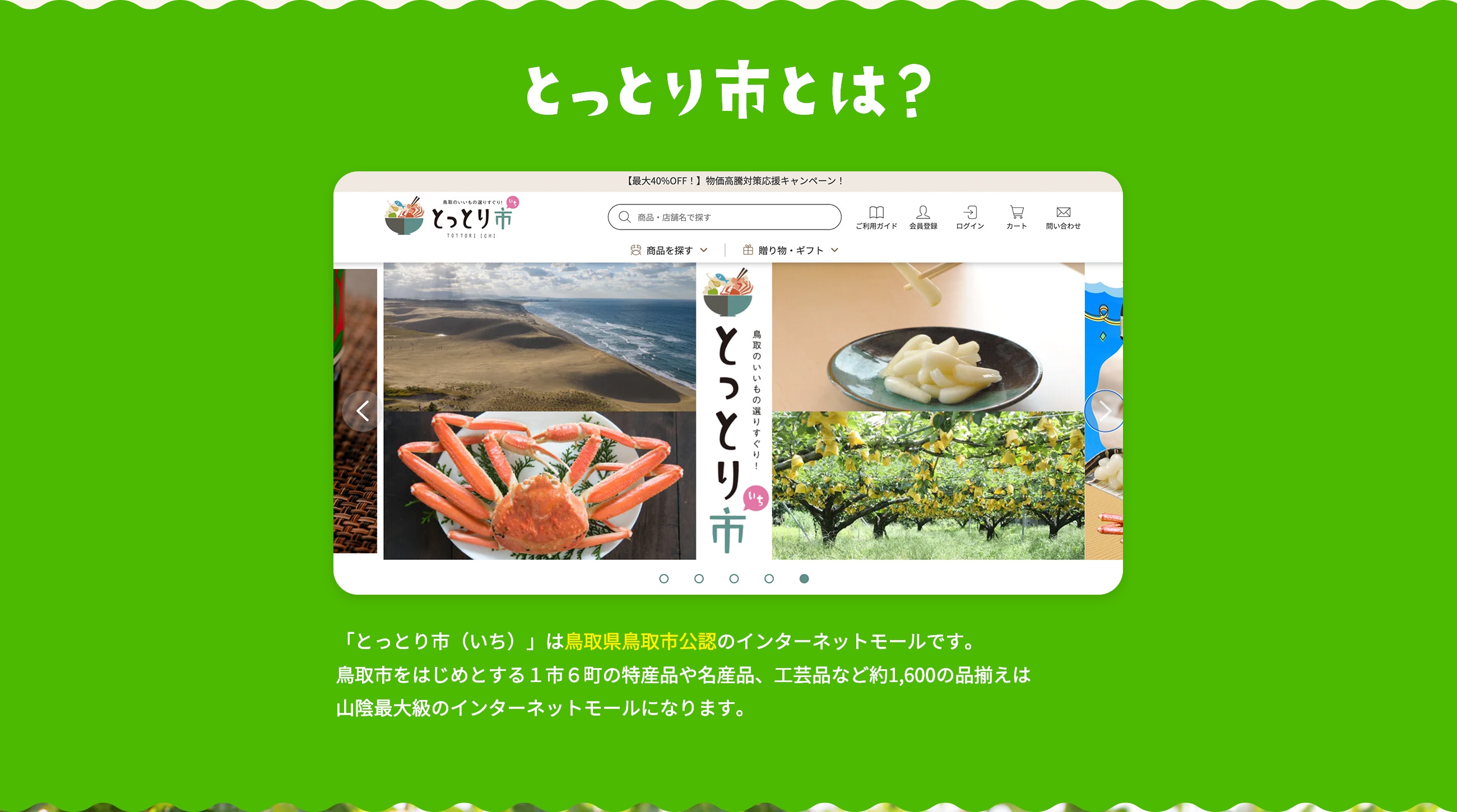 とっとり市とは？