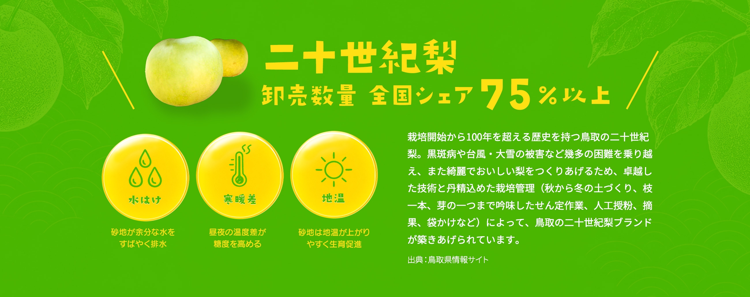 二十世紀梨