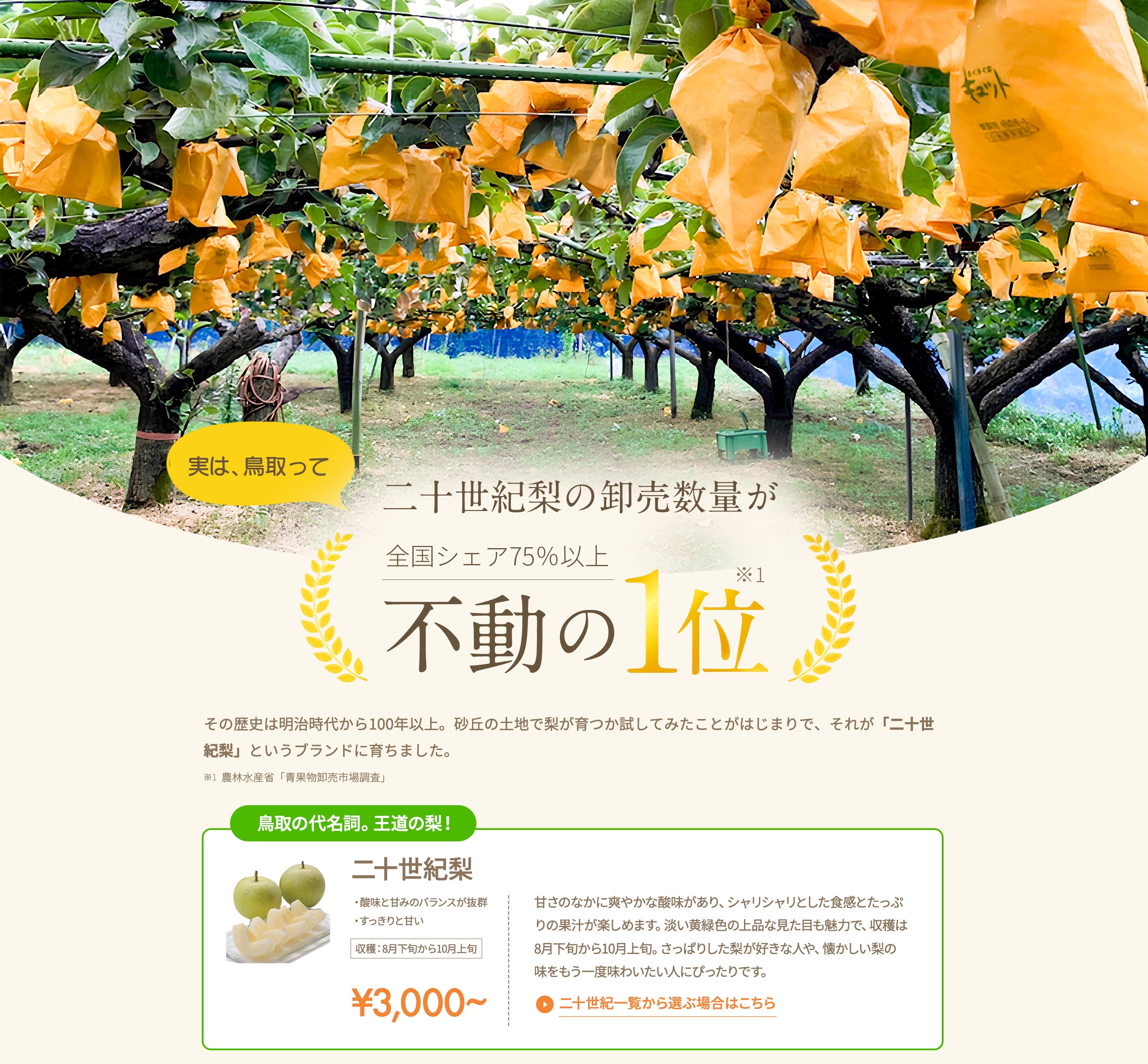 鳥取の風土1
