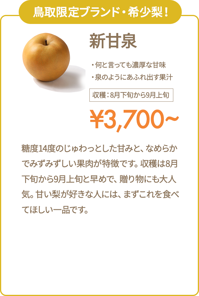 新甘泉