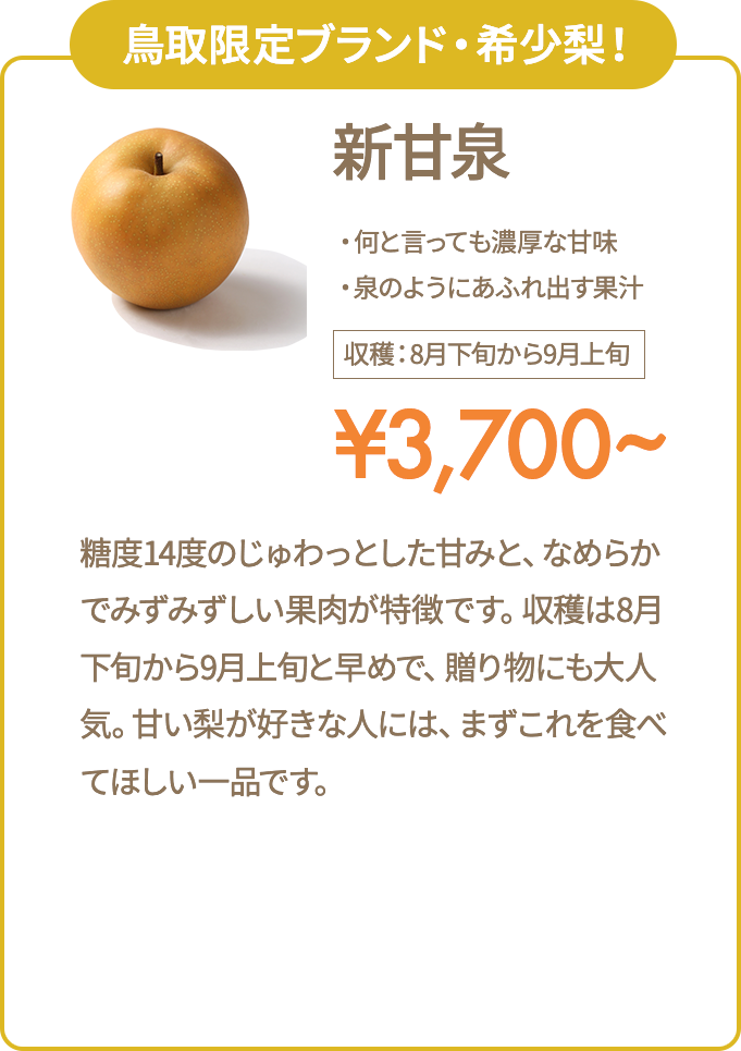 新甘泉