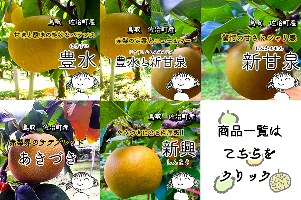 あくつの梨一覧