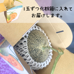 中央ファーム