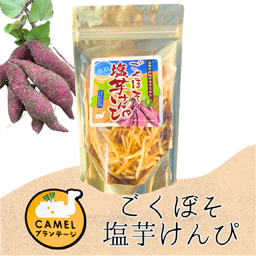ごくぼそ塩芋けんぴ 50g【Camelプランテージ】 ｜鳥取の特産品お