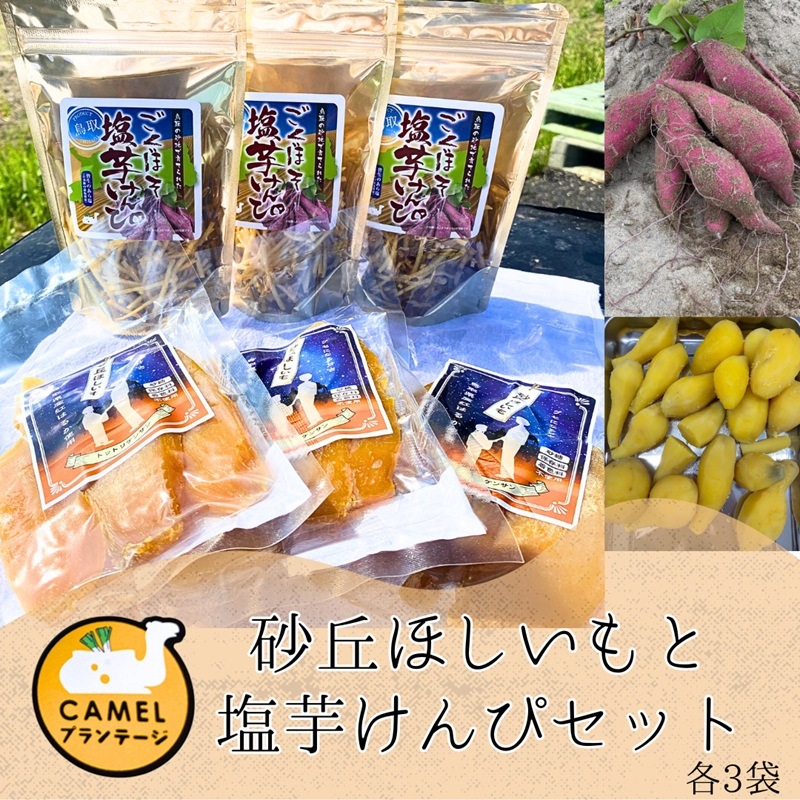 さつまいもたっぷり／ほしいも＆塩芋けんぴセット（各3袋）【Camel