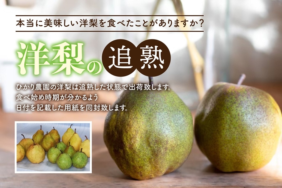 秀品・贈答用 ラ・フランス 3kg（8-12玉）【ひかり農園】 ｜鳥取の特産