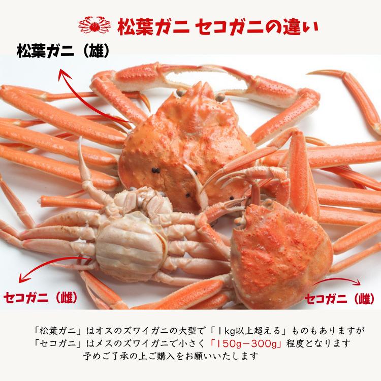 セコガニ 甲羅盛り ｜鳥取の特産品お取り寄せ通販｜とっとり市（いち）