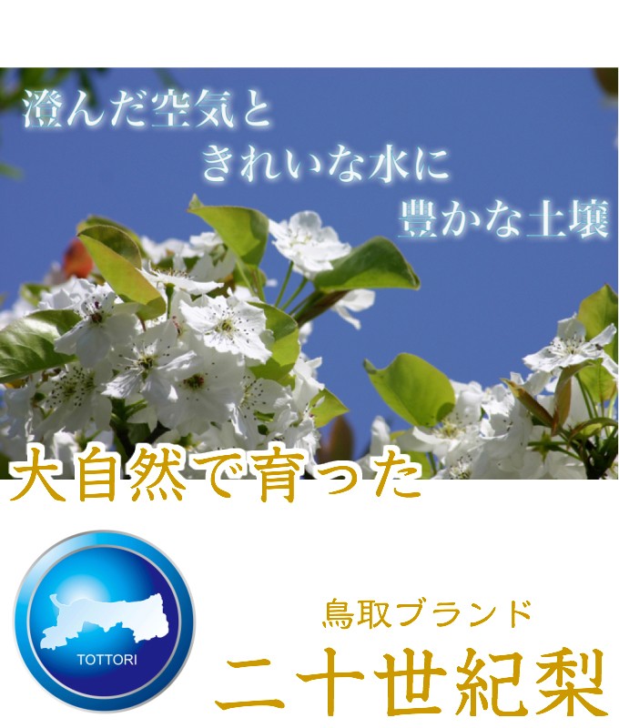 20号 矢屏風 花梨塗 幅2138ミリ!! 雄大な富士山が浮かぶ上品な絵柄の長尺透かし欄間 EZ2140