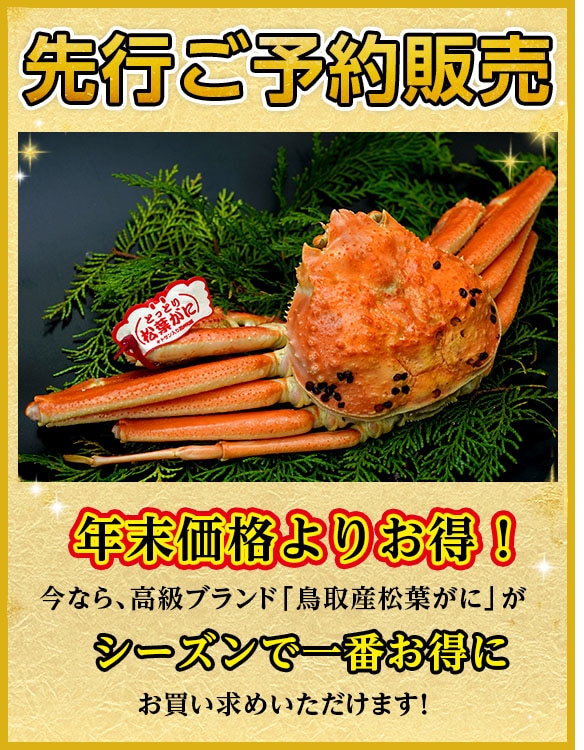 松葉がに（特大・ボイル) 800g以上 【先行ご予約販売】【鳥取賀露港