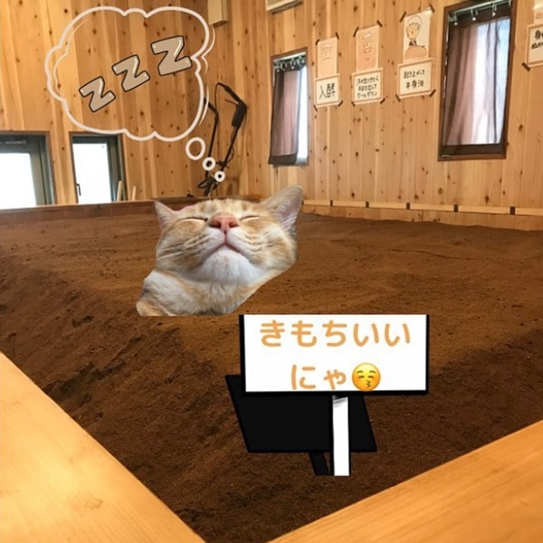 おうちのお風呂で酵素浴 50袋入り【米ぬか酵素浴 健康ケアハウス田口