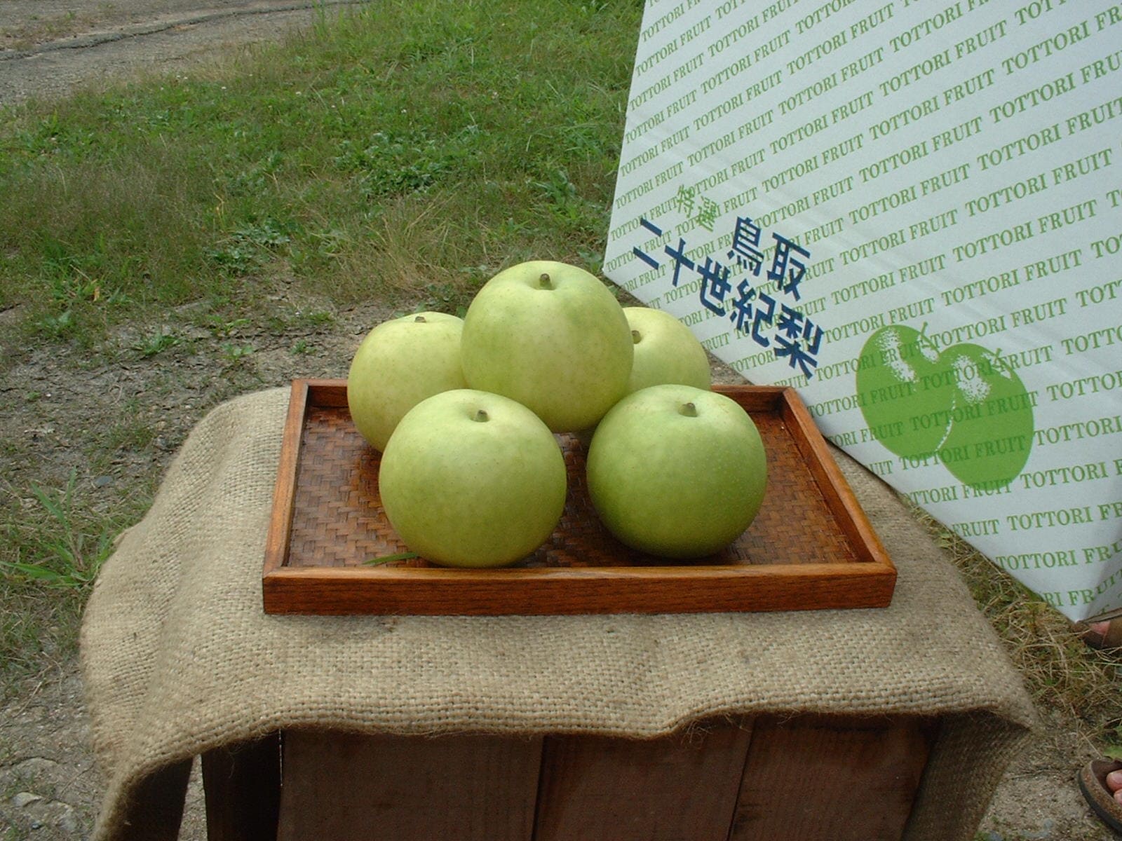 まえた農園・梨 梨と箱