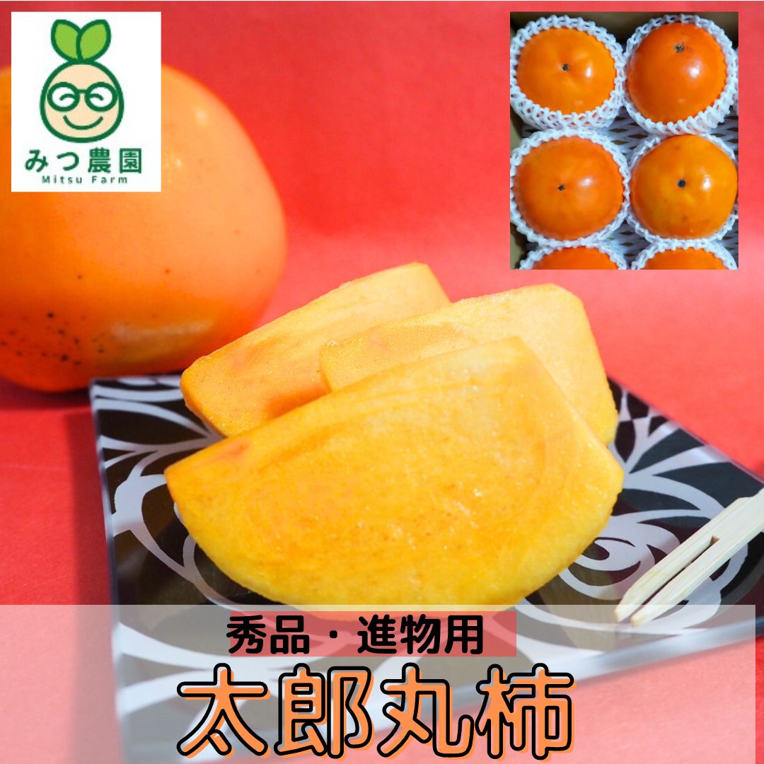 【真作 名品】 小畑稲升「鯉」百貨店銘柄(鳥取大丸購入) 太郎丸柿 進物用 予約2kg （5～8玉）【みつ農園】 ｜鳥取の特産品お