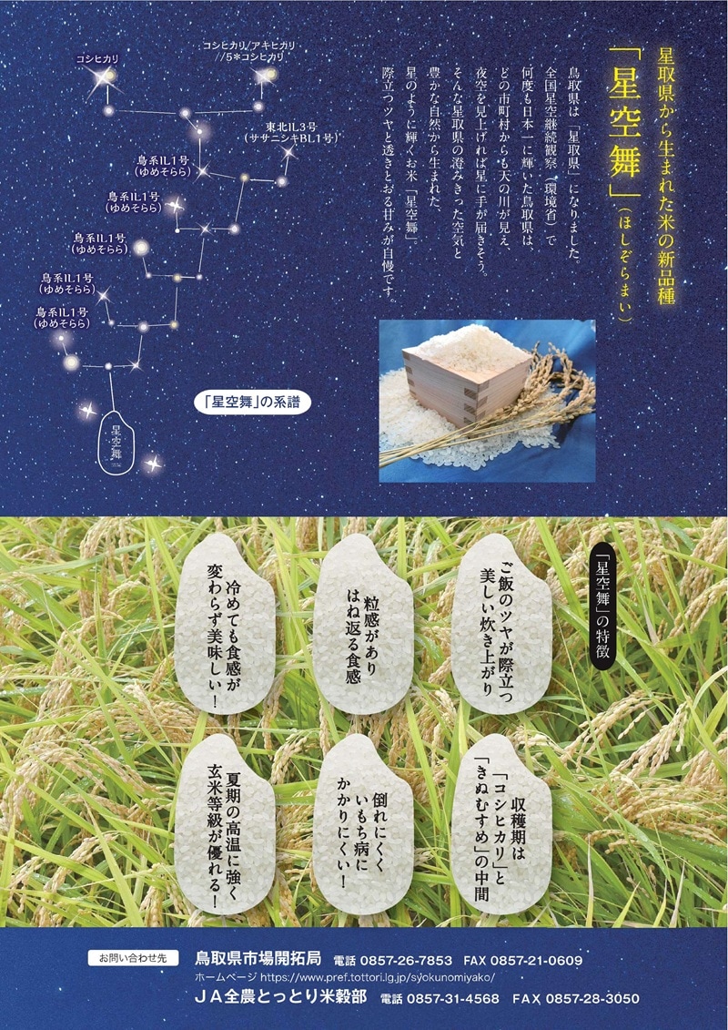 精米）鳥取県産星空舞 5㎏ (令和7年産 )【中嶋米穀】 ｜鳥取の特産品お