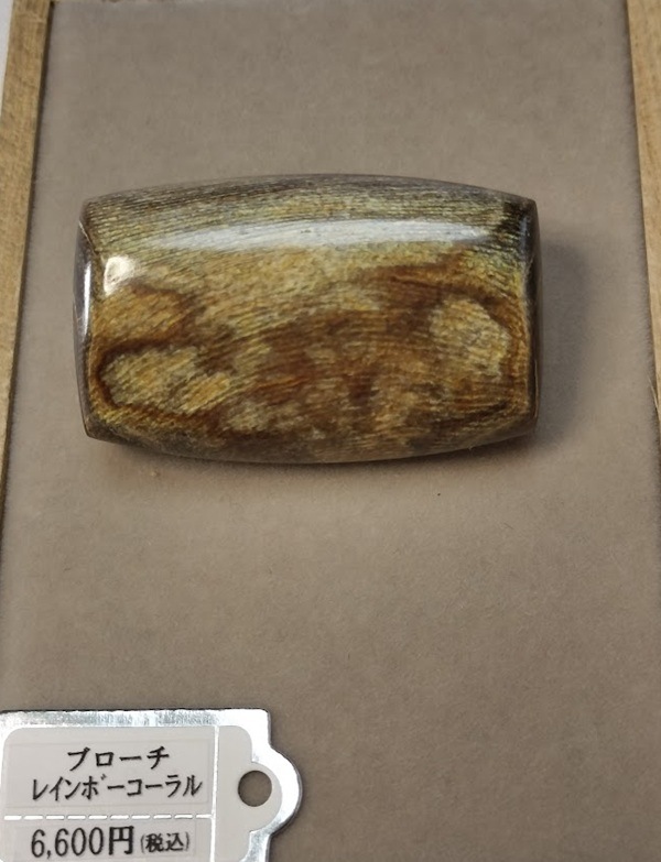 希少虹色珊瑚のブローチ【岡田黒珊瑚工房】 ｜鳥取の特産品お取り寄せ