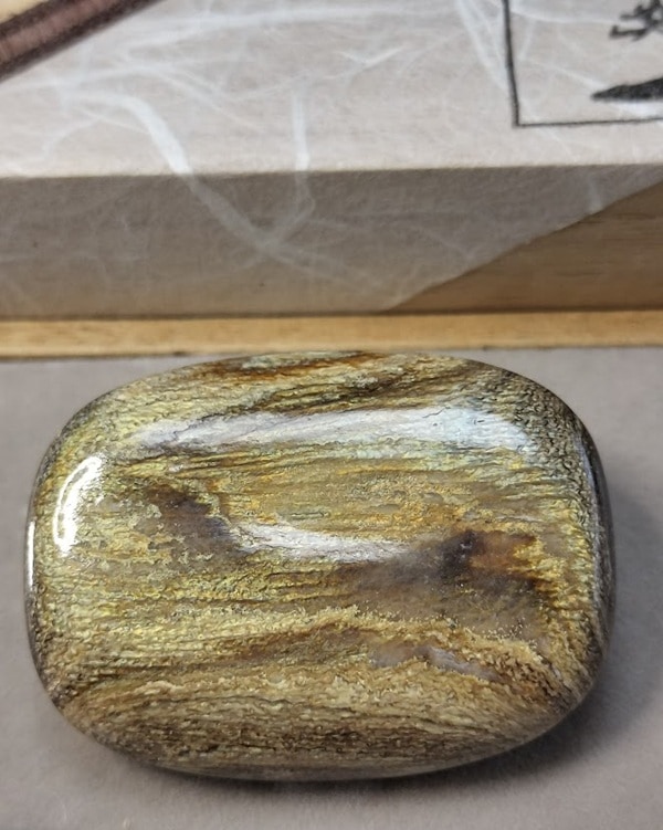 希少虹色珊瑚の帯留め【岡田黒珊瑚工房】 ｜鳥取の特産品お取り寄せ