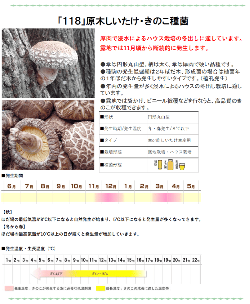 しいたけ本舗