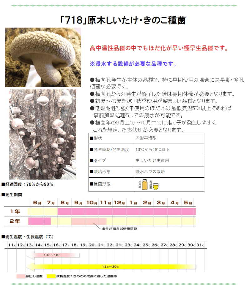 浸水発生》しいたけ種菌 形成菌718号シート 【きのこのお店 しいたけ