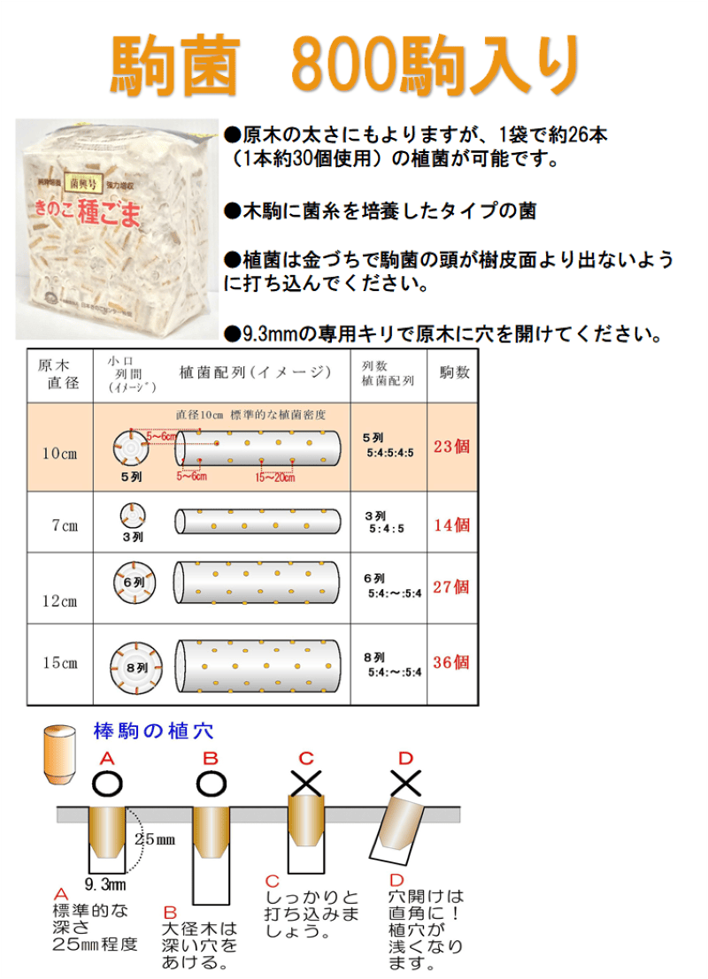 きのこ(おまとめ割実施中)　おまとめ きのこ種菌 きくらげ駒菌（800駒）【きのこのお店 しいたけ本舗