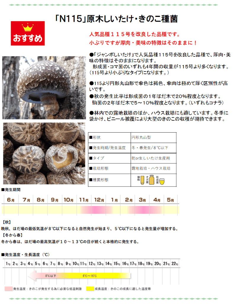 しいたけ種菌 形成菌N115号シート 【きのこのお店 しいたけ本舗